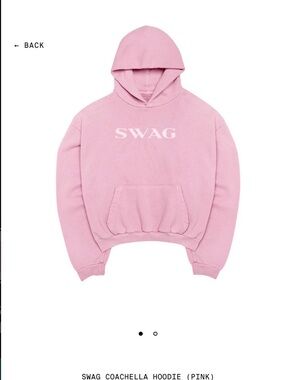 Skylrk Pink SWAG Coachella Hoodie (Medium)